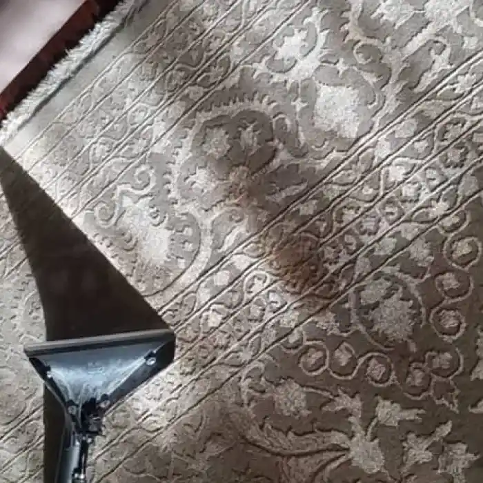 Viscosa / Seda