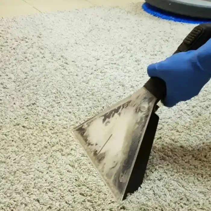 Cuidado de alfombras